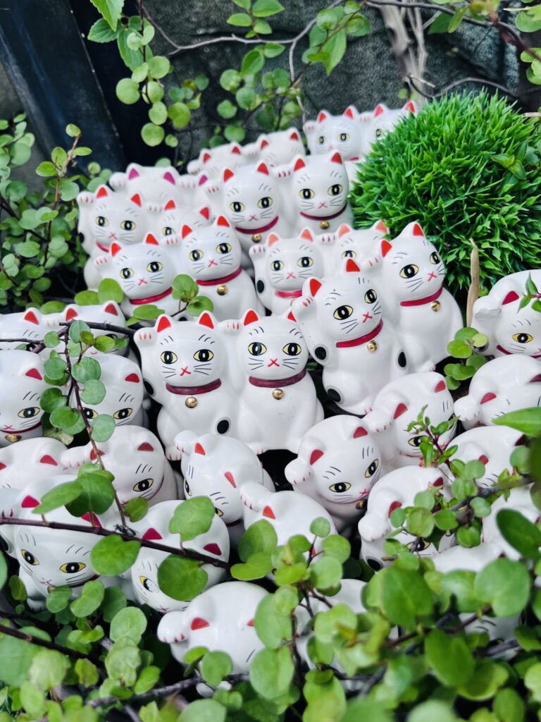 今戸神社にある多数の招き猫